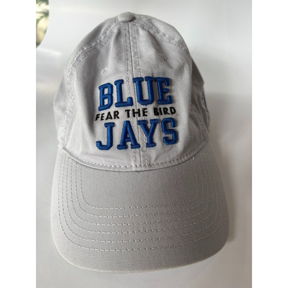 Elizabethtown College Blue Jays Fear The Bird Legacy Gray Hat Cap Adjustable